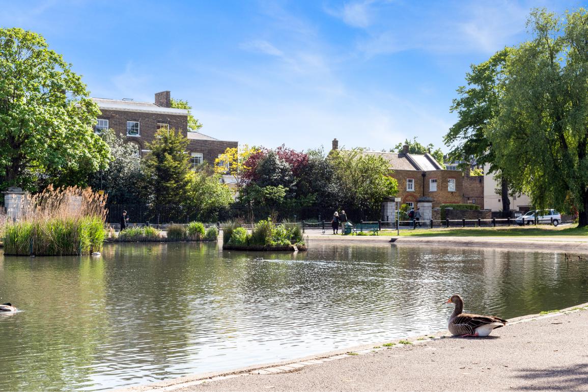 Is Blackheath a Nice Place to Live