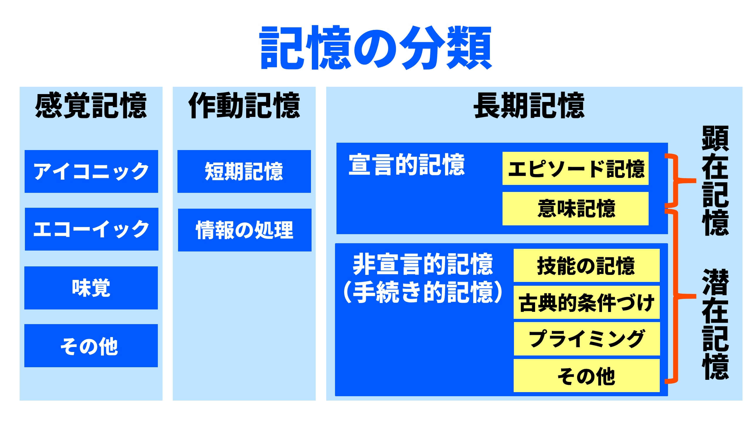 短期記憶とは？なぜすぐ忘れるのか、脳の仕組みと鍛え方を徹底解剖