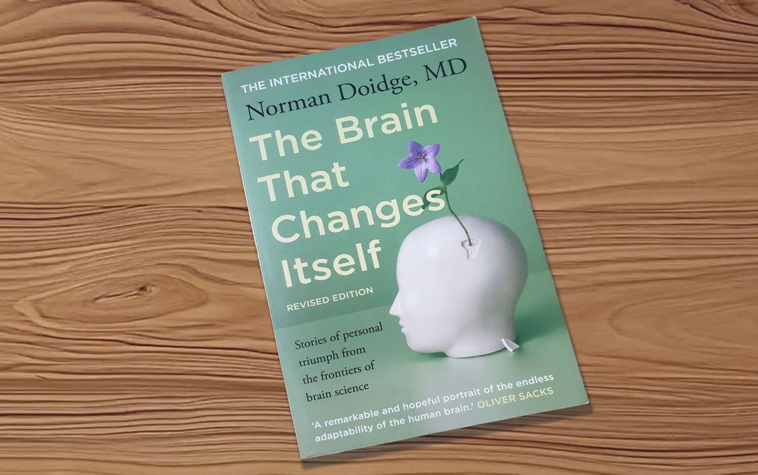The Brain That Changes Itself by Norman Doidge