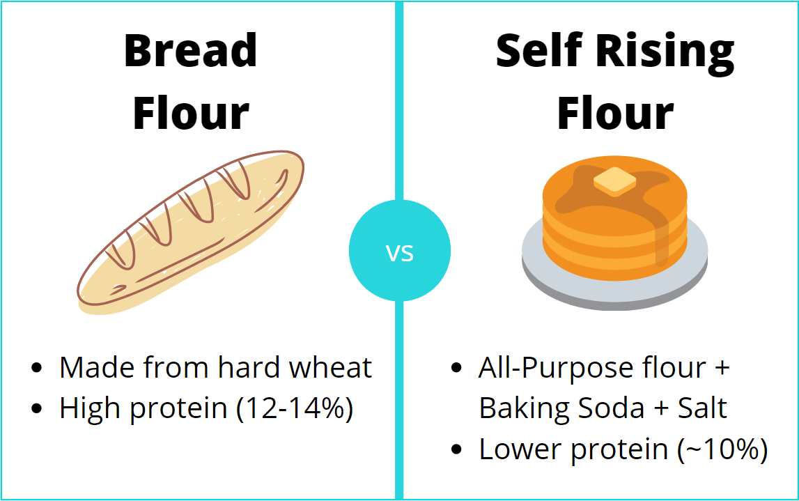 Bread Flour vs Self Rising