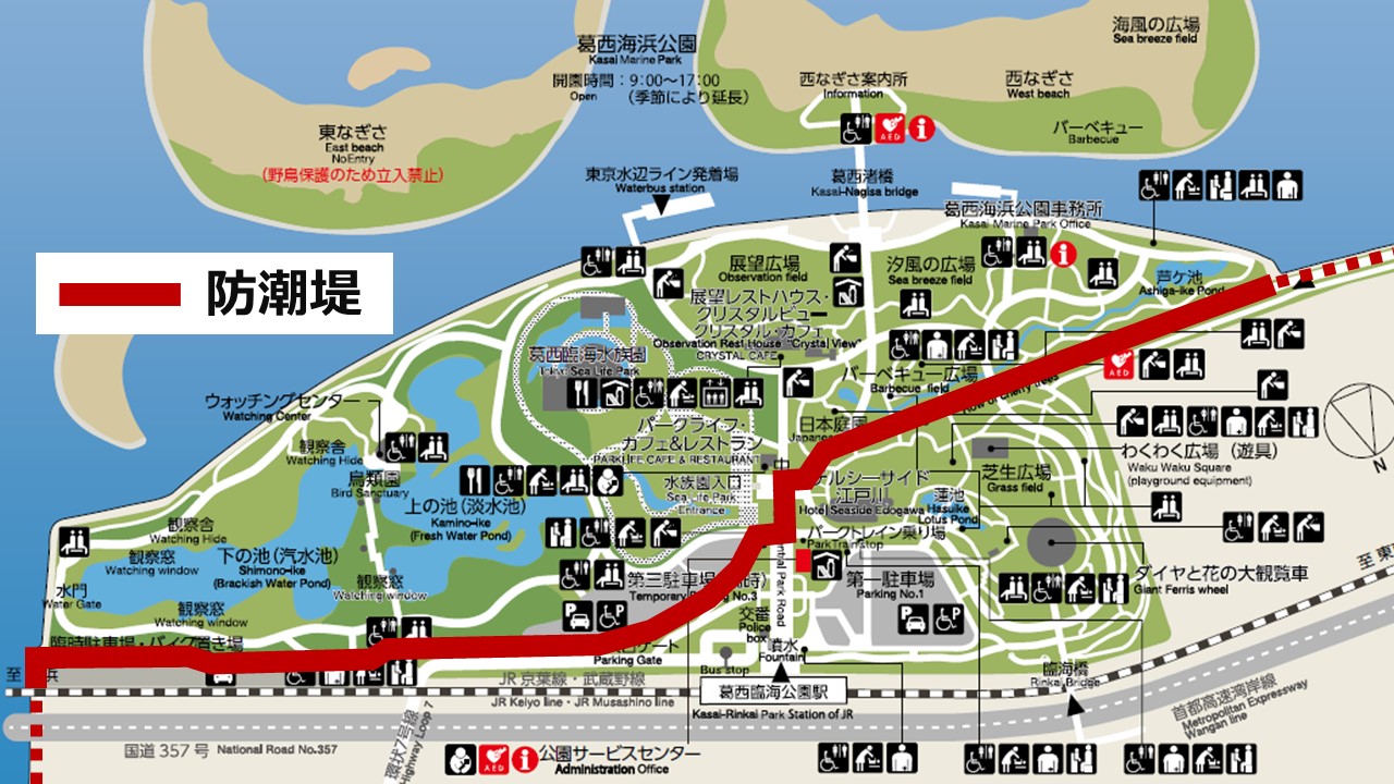 葛西臨海公園の津波浸水想定は？東京湾地震の危険度と避難ビル