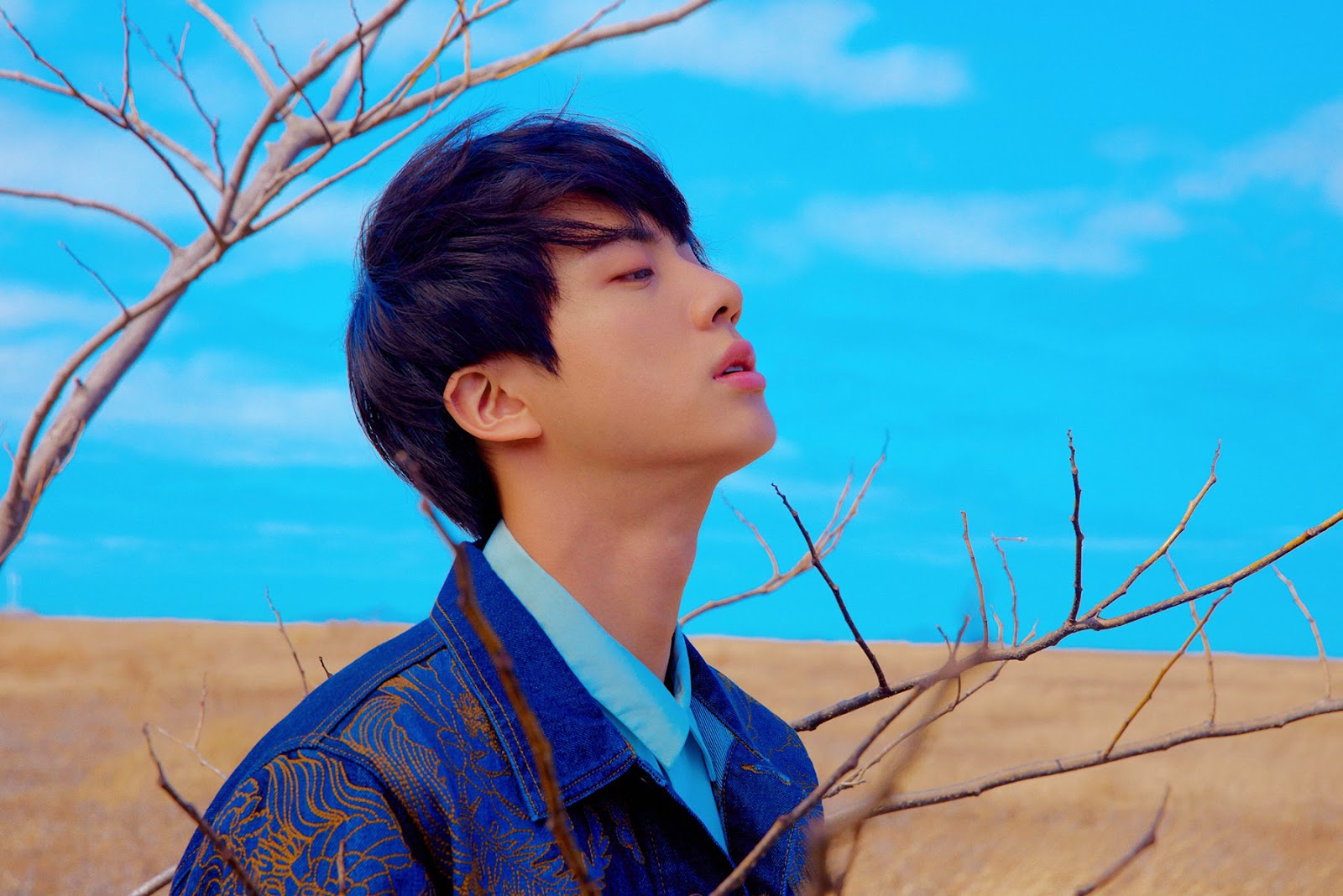 Bts Love Yourself Tear Y Version Photoshoot