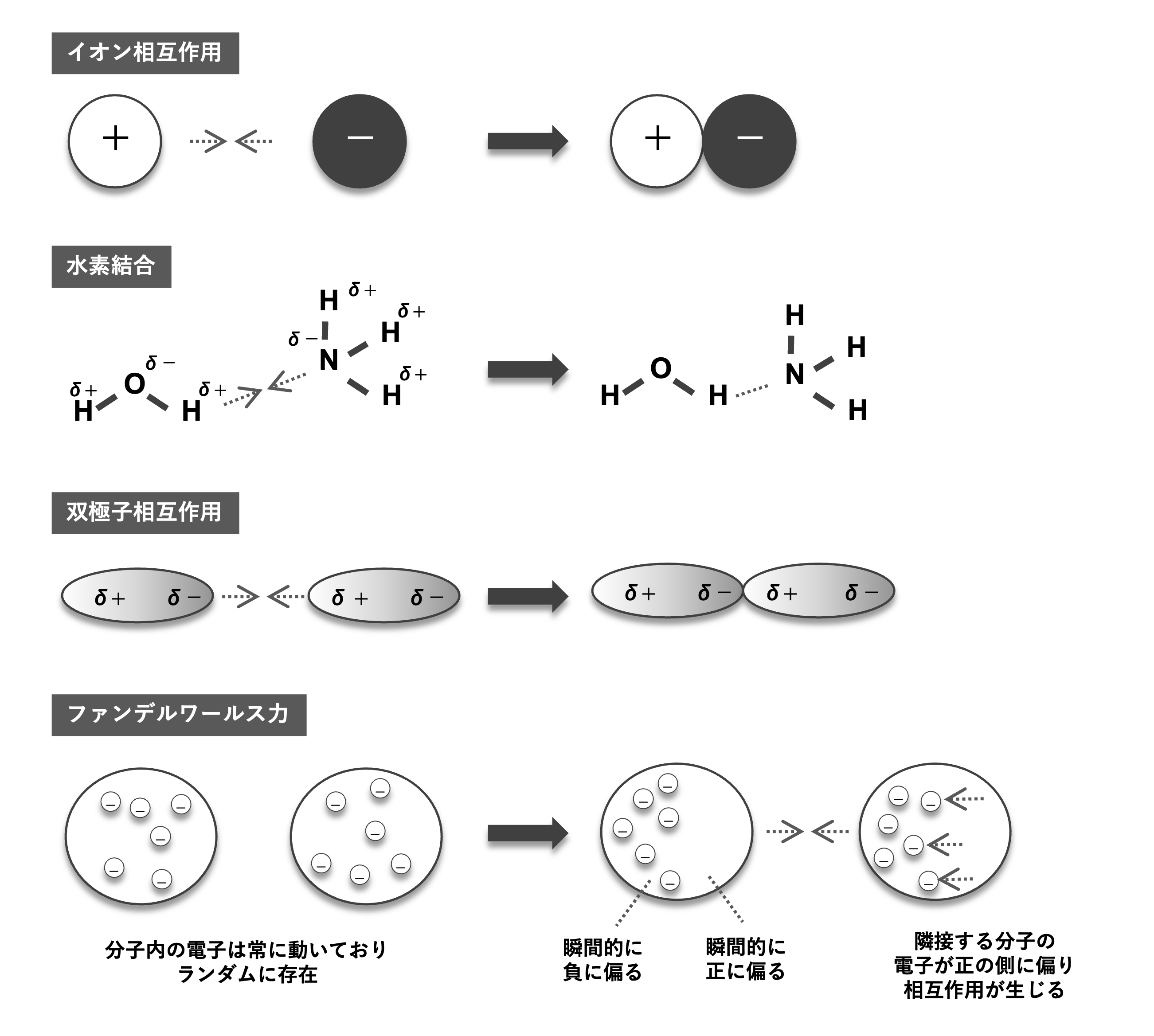 分子間力とは？ファンデルワールス力や水素結合の違いを徹底解説
