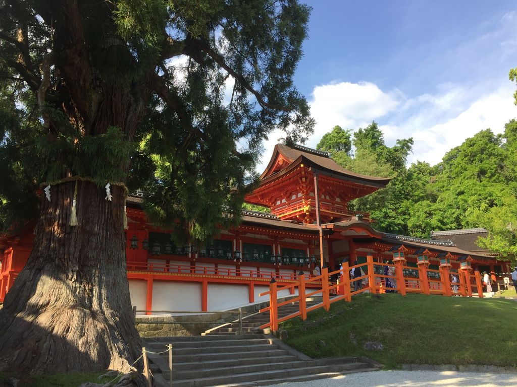 奈良最強神社パワースポット！人生激変の真相と2026最新巡拝術