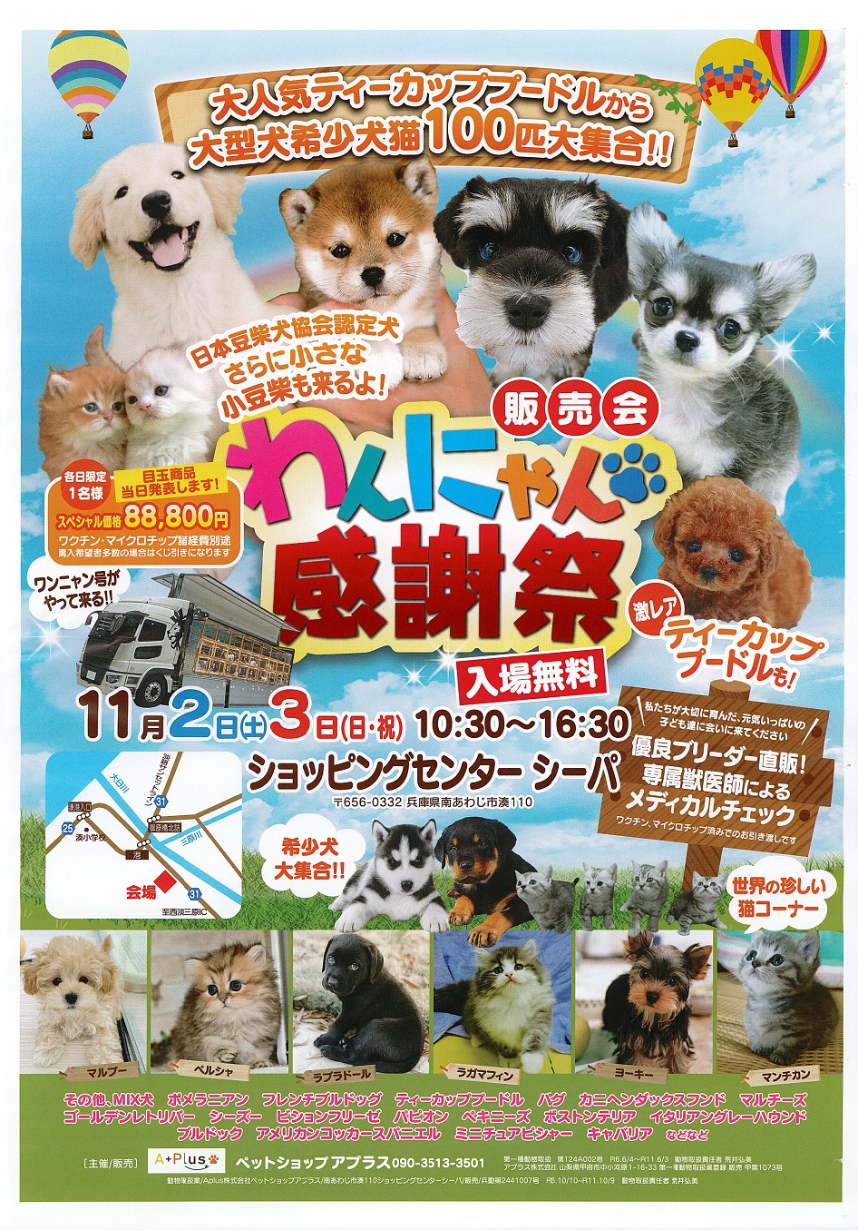 わんにゃんカーニバル2026速報！入場料や混雑と愛犬同伴ルールの真相