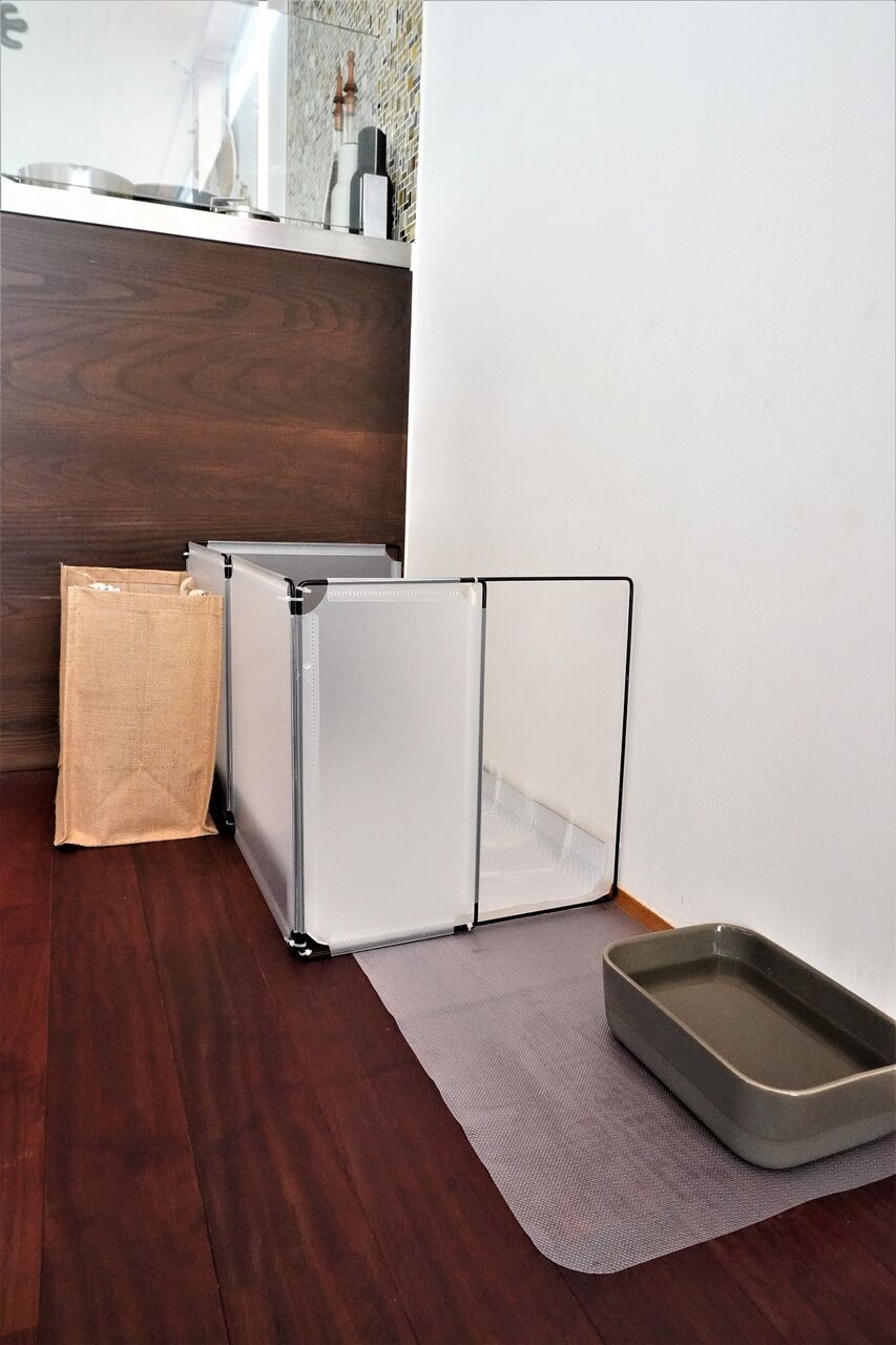 犬のトイレはみ出しを100均で防止！失敗ゼロの簡単Diy術