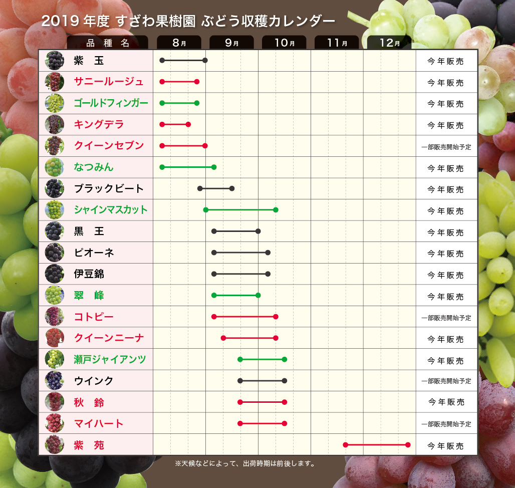 すざわ果樹園のぶどうはなぜ即完売？2026最新予約法と口コミの真相