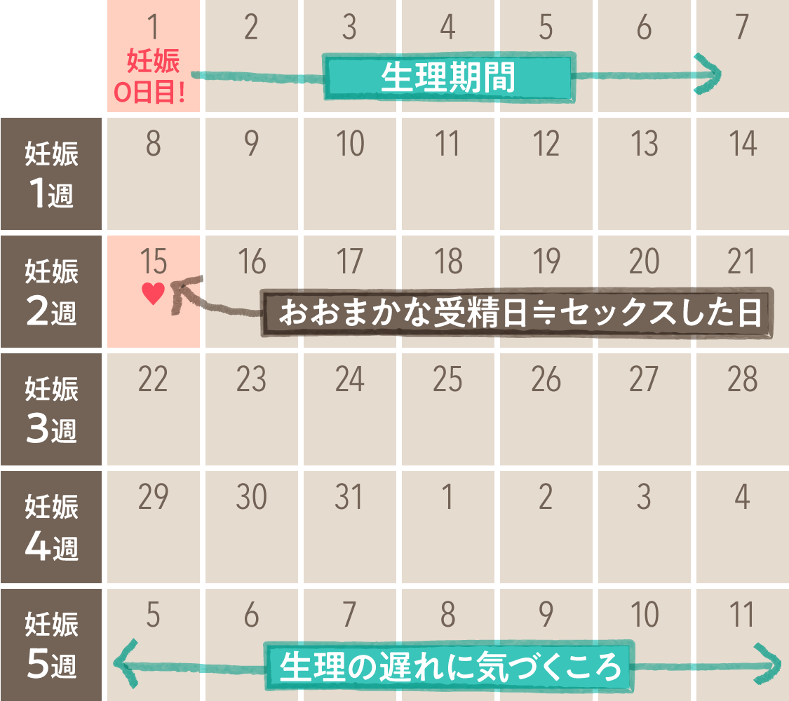 ニンニクの植え付け時期はいつ？球を太らせる地域別適期と失敗回避法