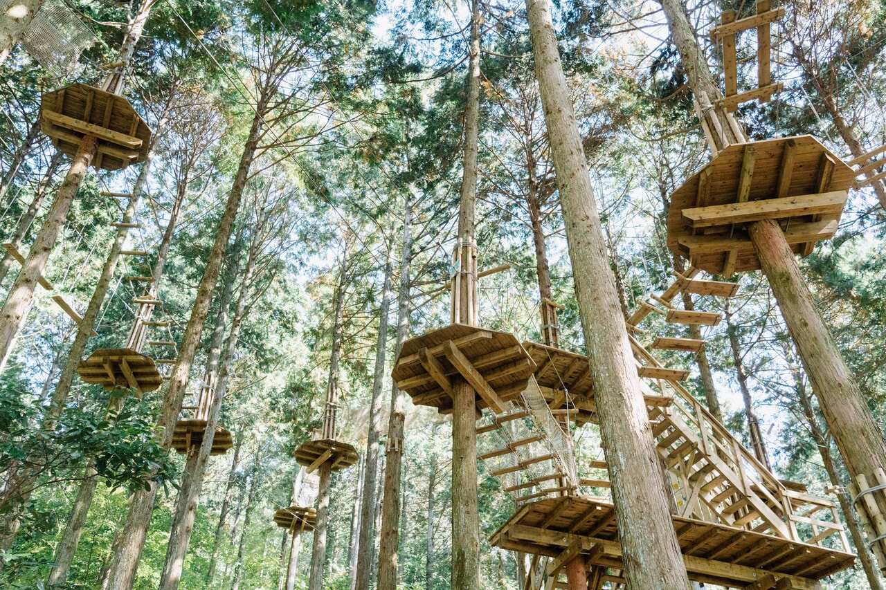 別府観光地決定版！地獄めぐり以外の穴場と最新モデルコース徹底解説