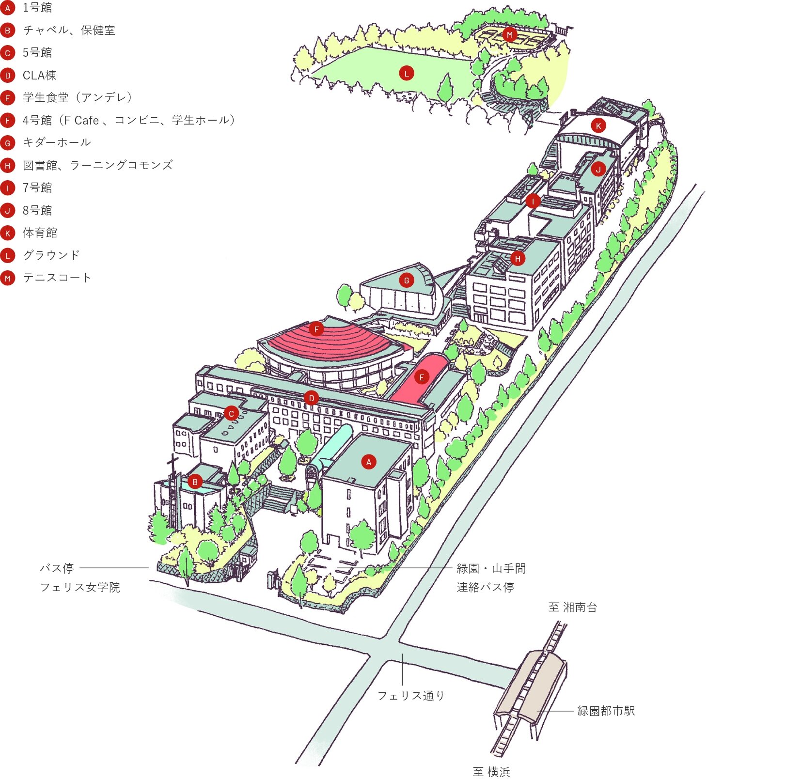 フェリス女学院大学緑園キャンパスの真相｜山手統合と学部改組の現在