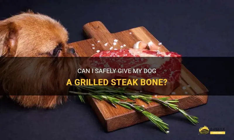 Can I Give My Dog Steak Bones