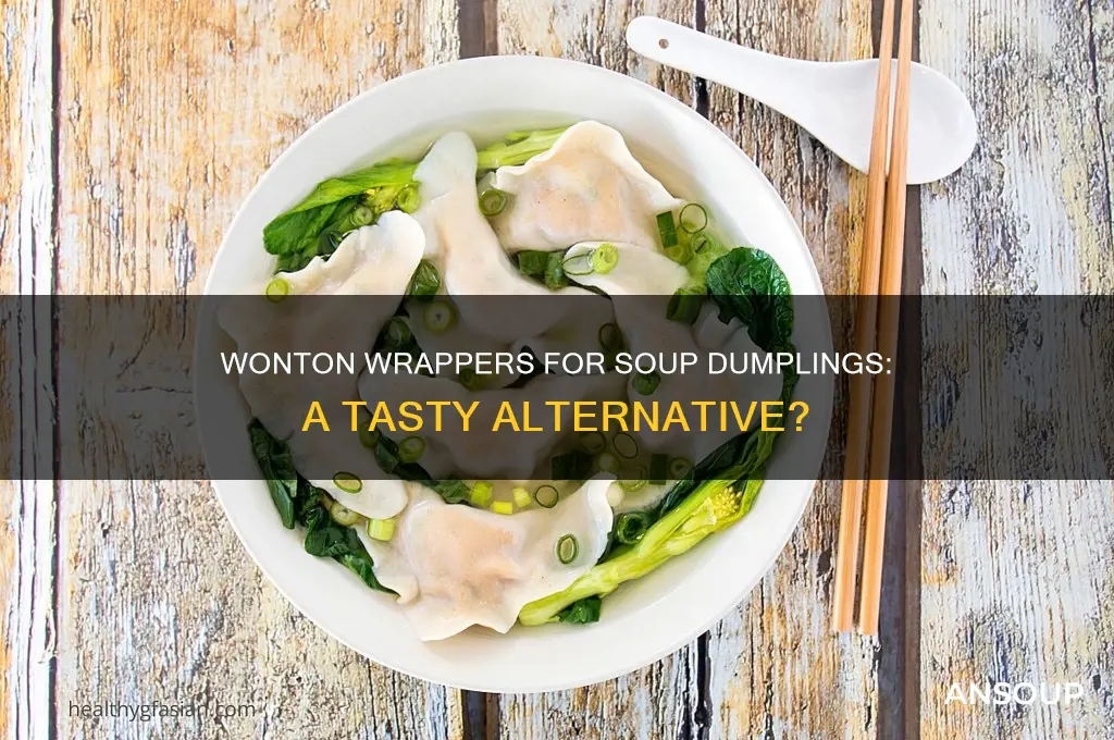Can You Use Wonton Wrappers for Dumplings