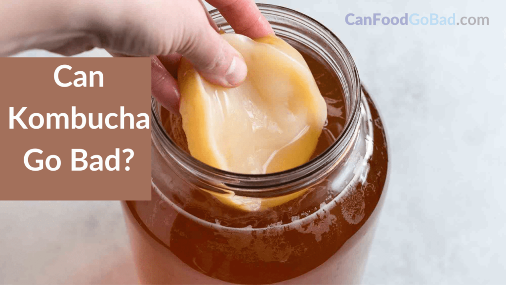 Does Kombucha Go Bad If Not Refrigerated