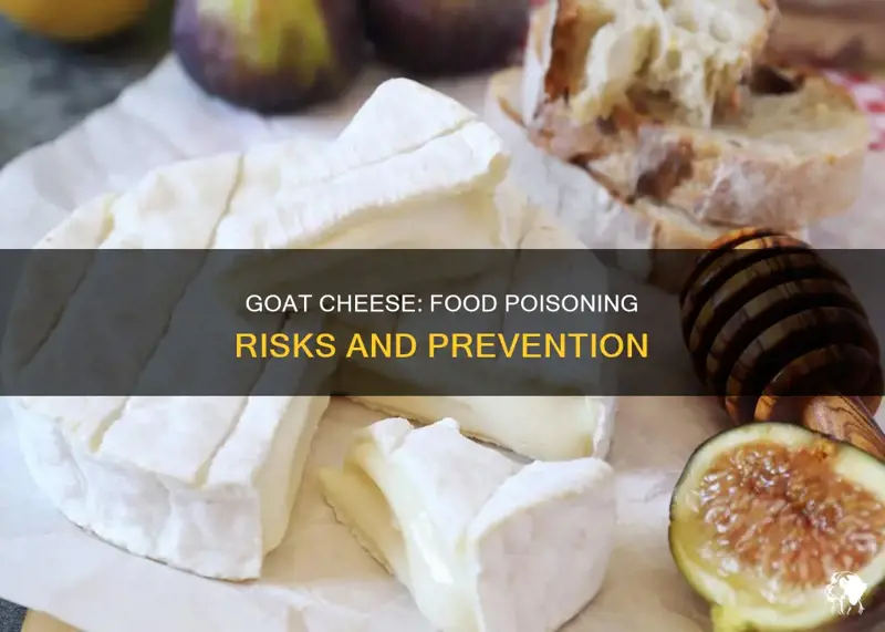 Cheese and Food Poisoning