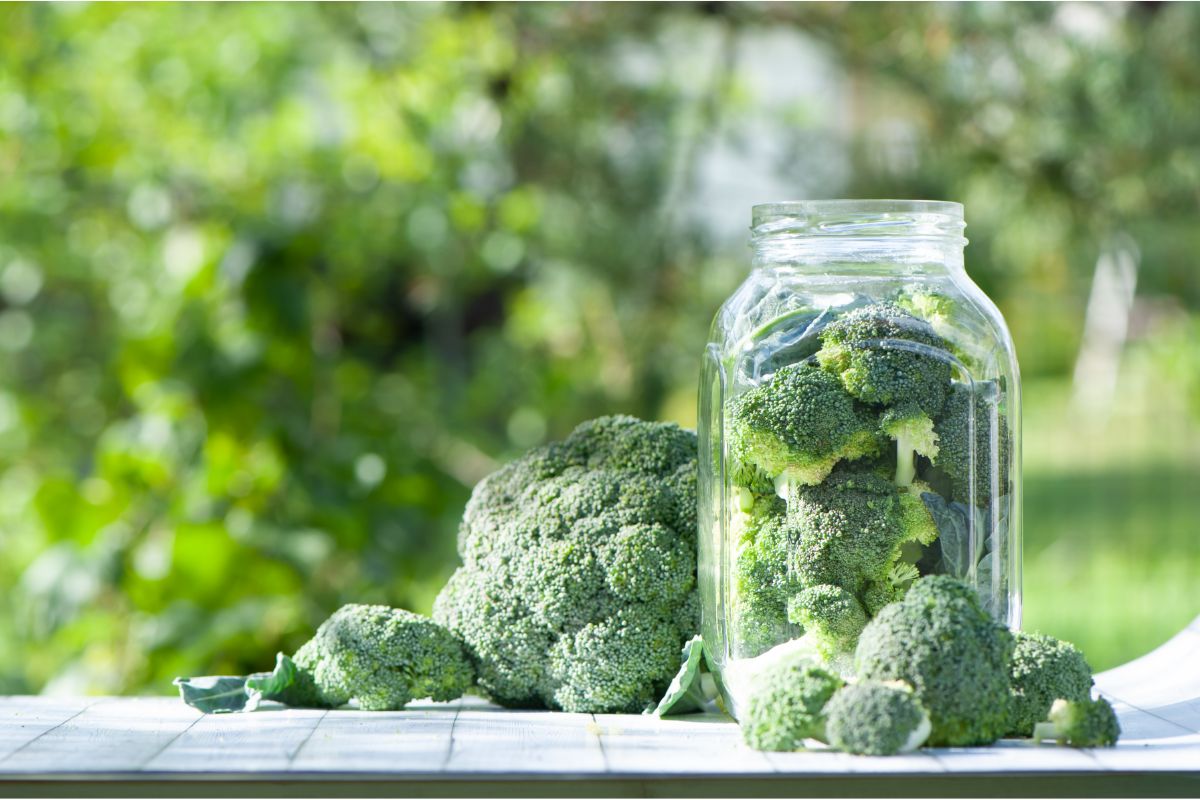 How to Can Broccoli