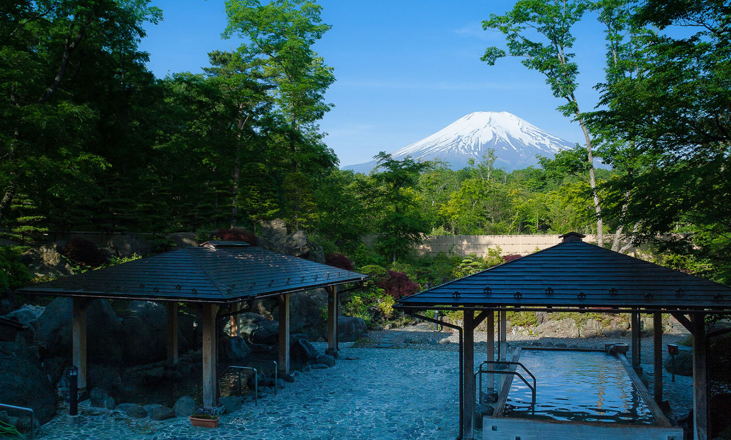 紅富士の湯2026年最新攻略！富士山絶景の時間と割引クーポンの真実