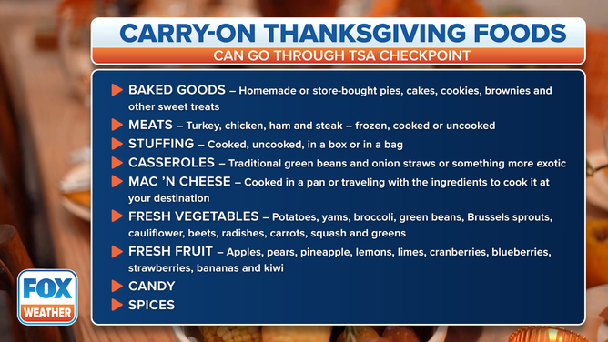 Can Food Be Taken Through Tsa