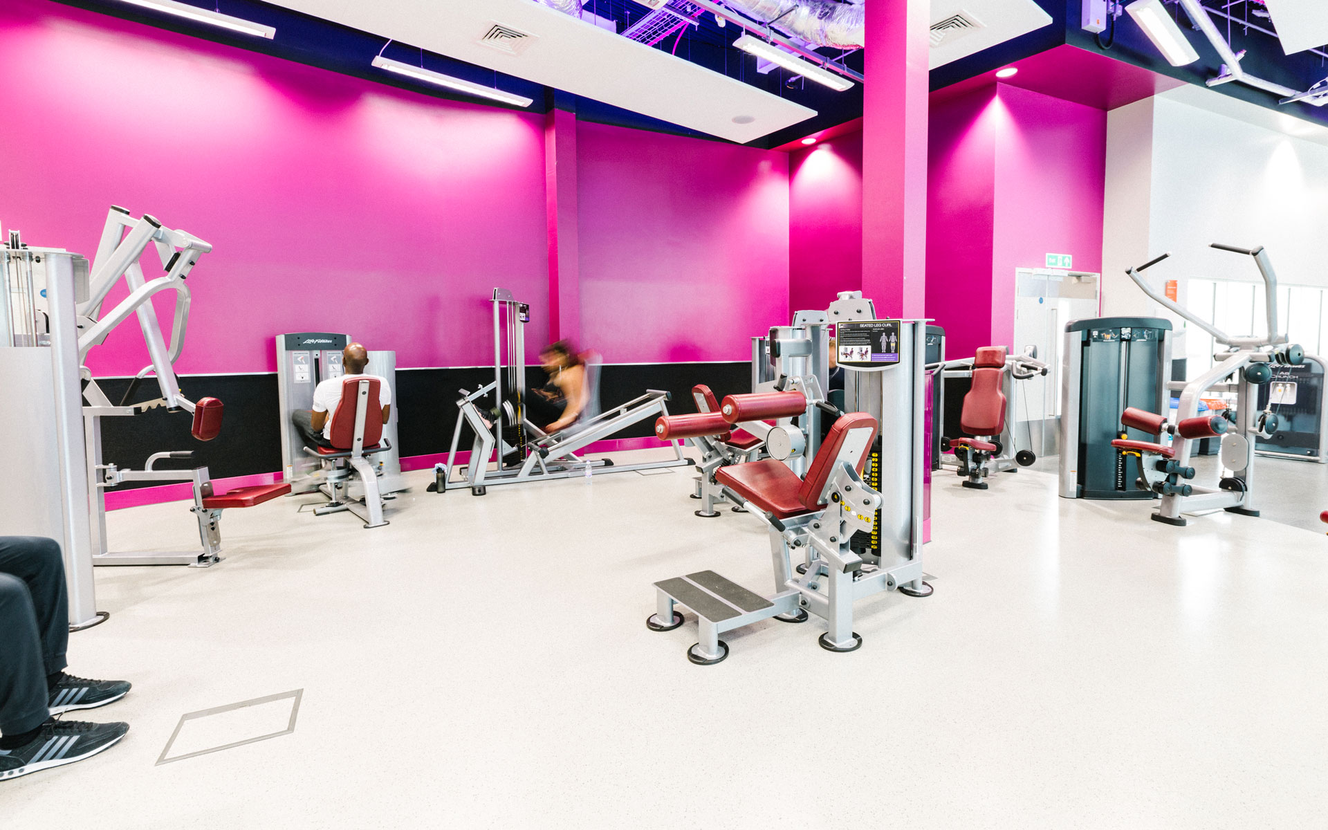 Free Gym and Swimming in Southwark