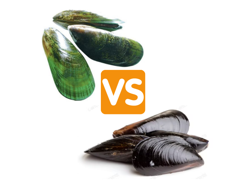 Difference in Green and Black Mussels