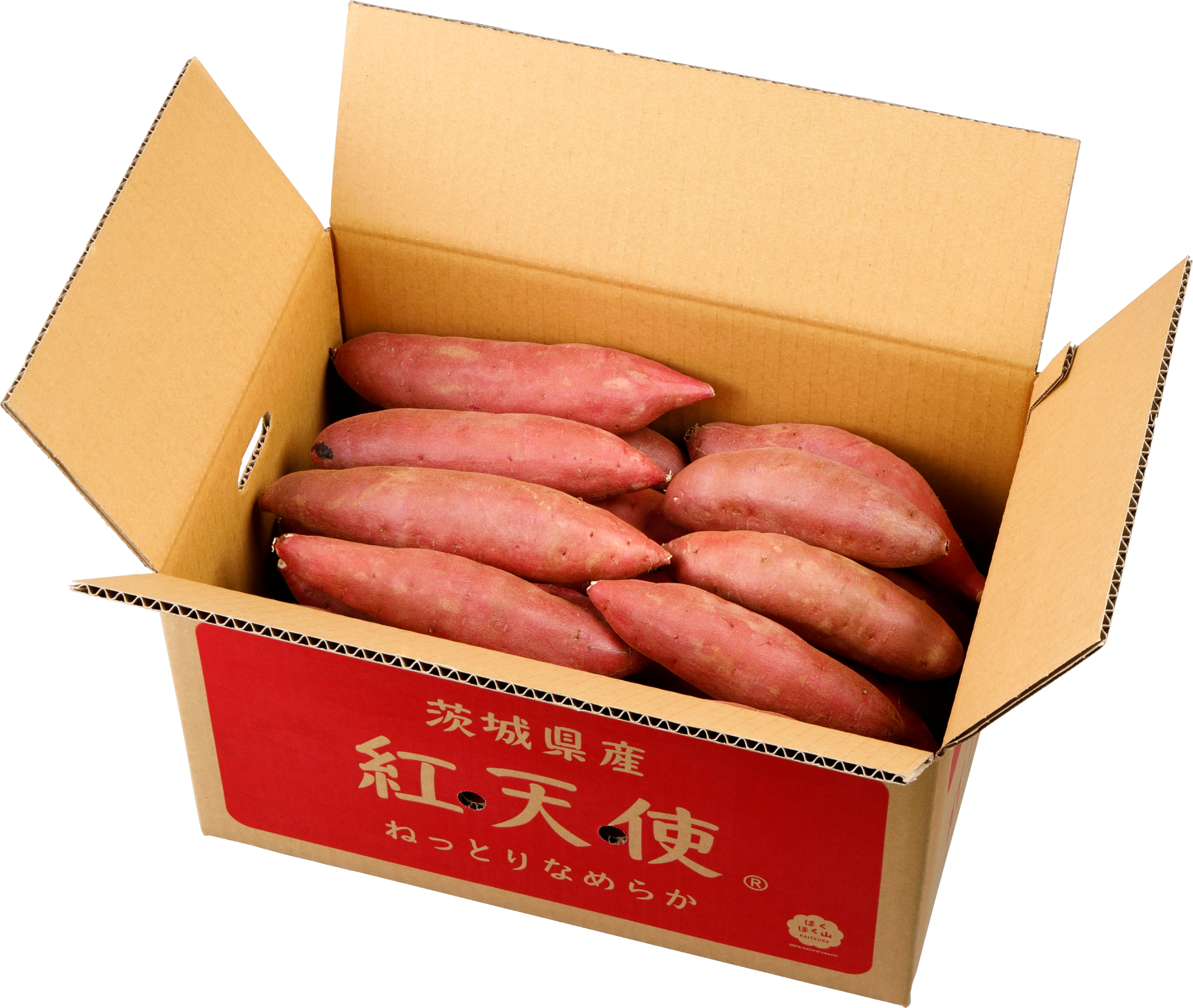 サツマイモ保存方法決定版！冷蔵庫Ngの真相と甘み凝縮の長期保存術