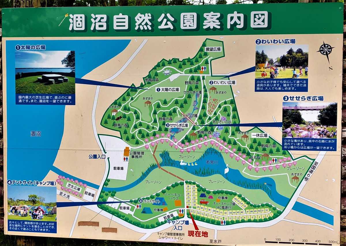涸沼自然公園キャンプ場の実力検証｜予約の裏ワザと失敗しない選び方