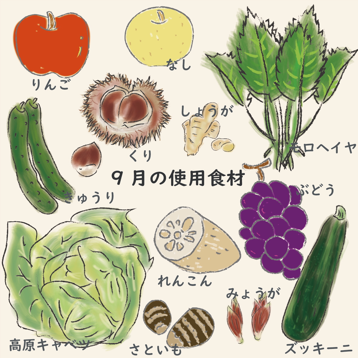 9月の旬野菜完全まとめ！驚きの栄養とプロ直伝の選び方・絶品レシピ