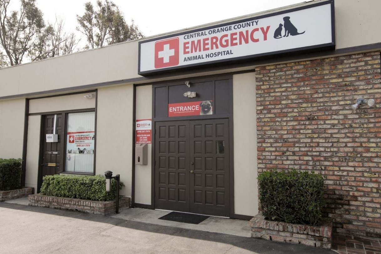 Pet Emergency Newport Beach