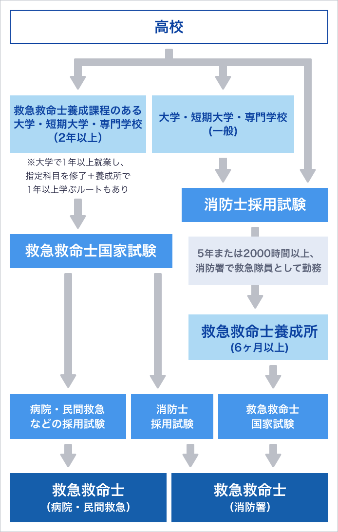 救命救急士の資格と最短ルート！難易度・年収・消防との違いを徹底解剖