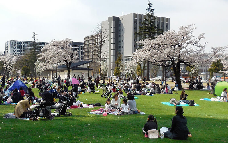 中野四季の森公園で何が起きている？最新イベントと周辺グルメを追う