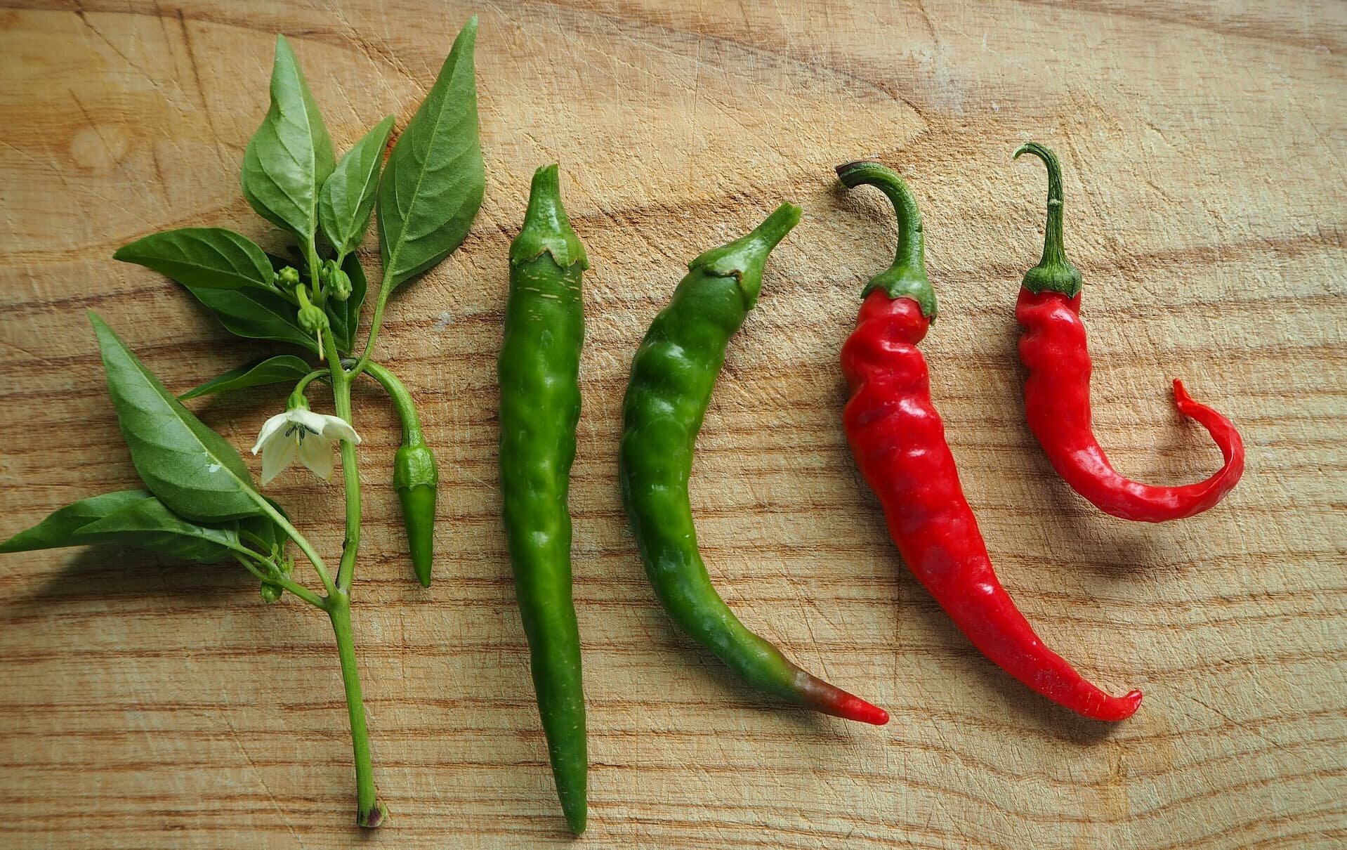 Is Pepperoni a Pepper