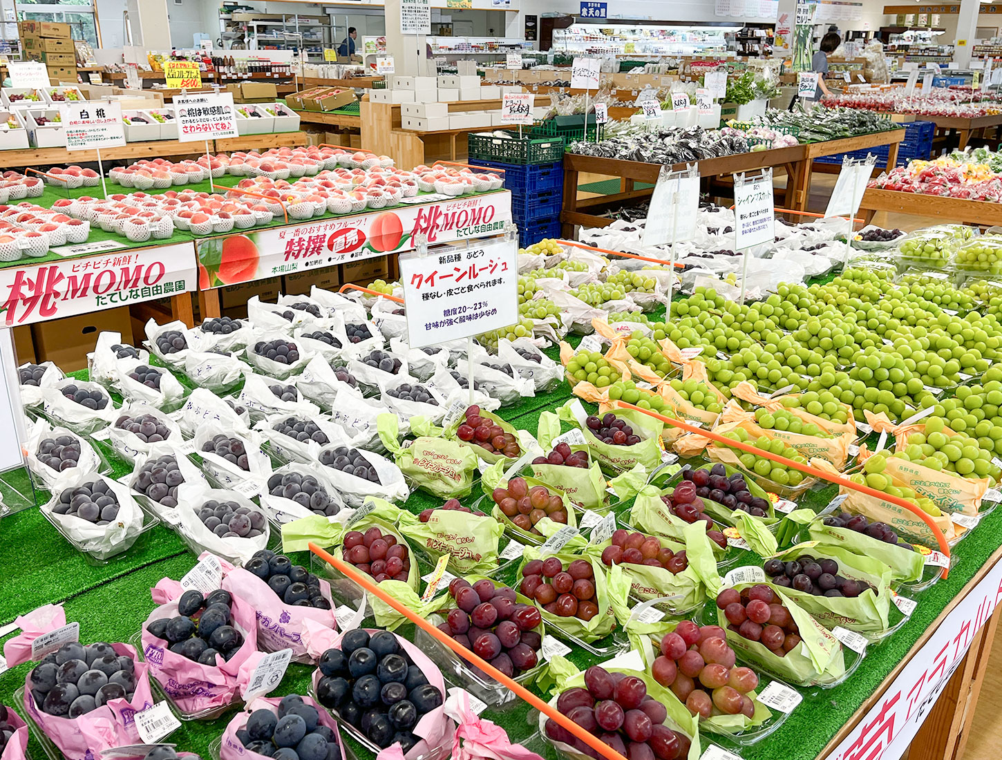 たてしな自由農園茅野店の魅力解剖！旬野菜・絶品パンと混雑回避術