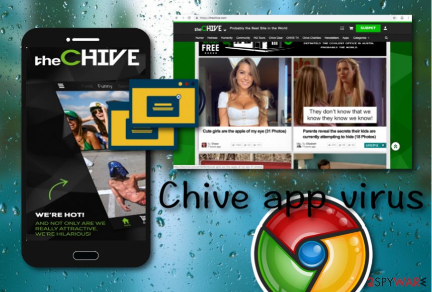 What Happened to the Chive App