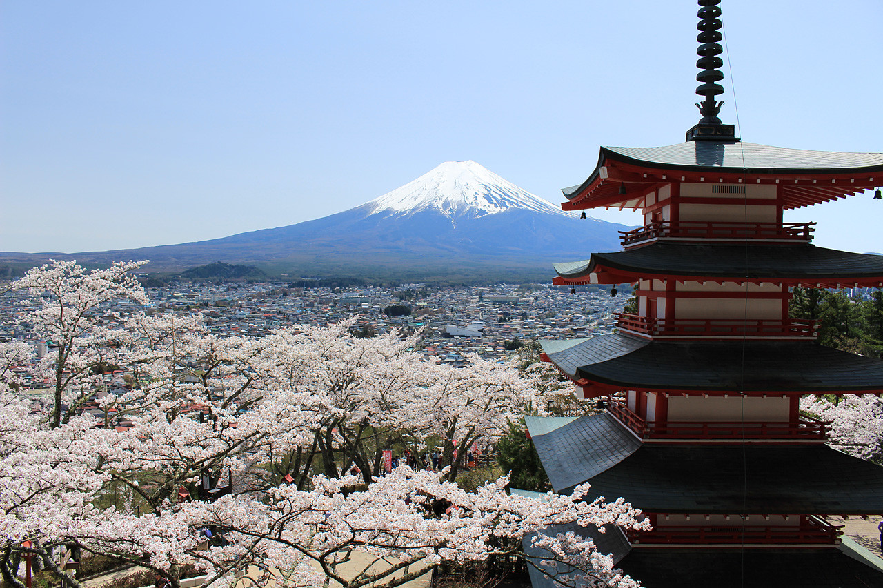 五重塔と富士山の絶景はどこ？新倉山浅間公園の行き方や見頃を徹底解説