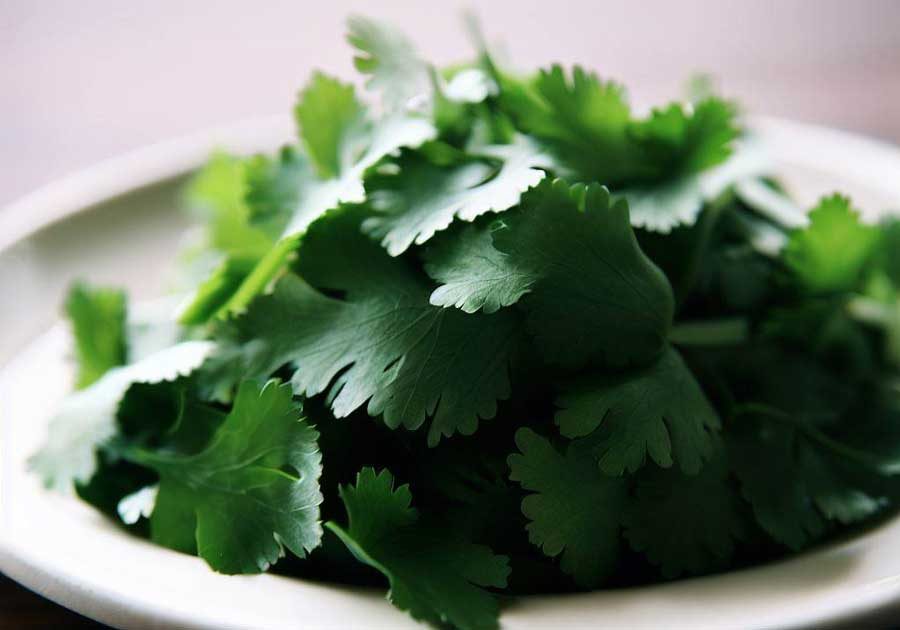 Is Cilantro Used in Asian Dishes