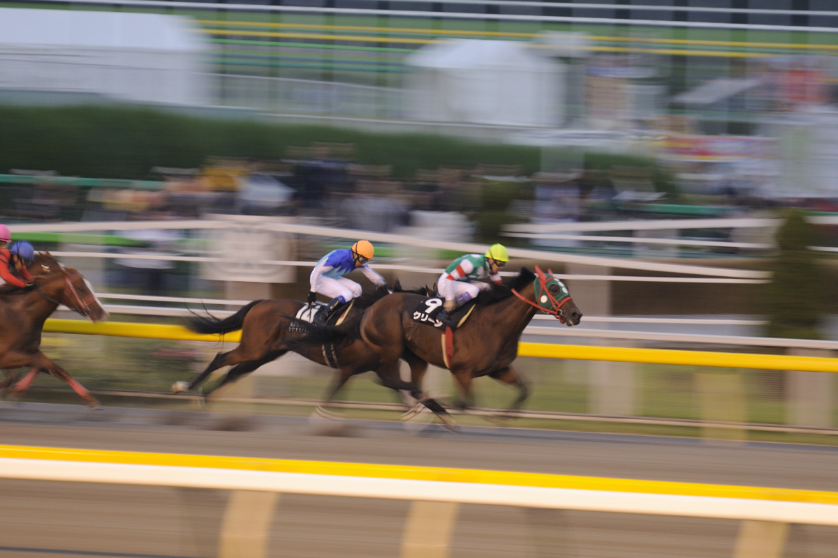競馬の流し買いで勝つ極意｜点数計算とボックス・フォーメーション徹底比較