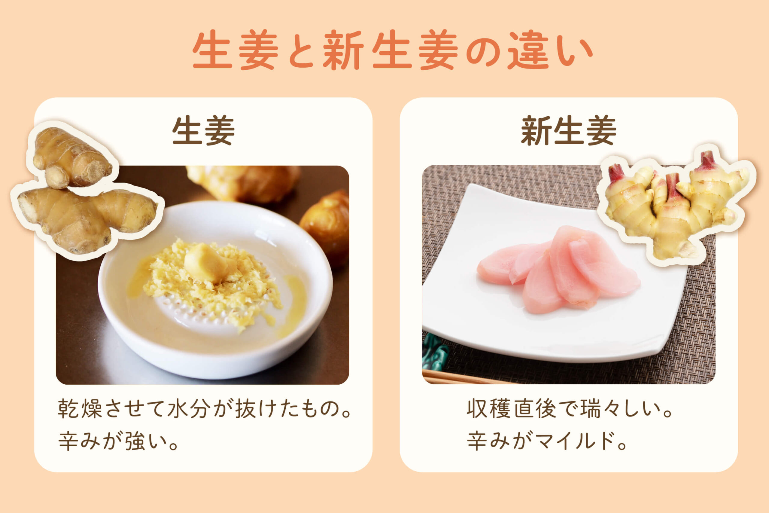 新生姜と生姜の違いとは？収穫時期と保存の秘密＆活用法を徹底解説