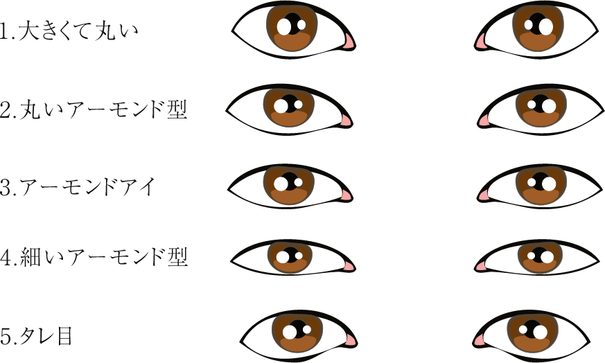 魅惑のアーモンドアイとは？美人の黄金比と垢抜けメイク術を徹底解明