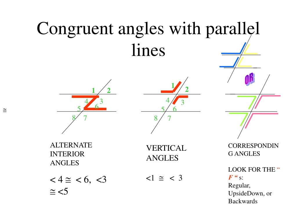 Congruent Angles on Parallel Lines