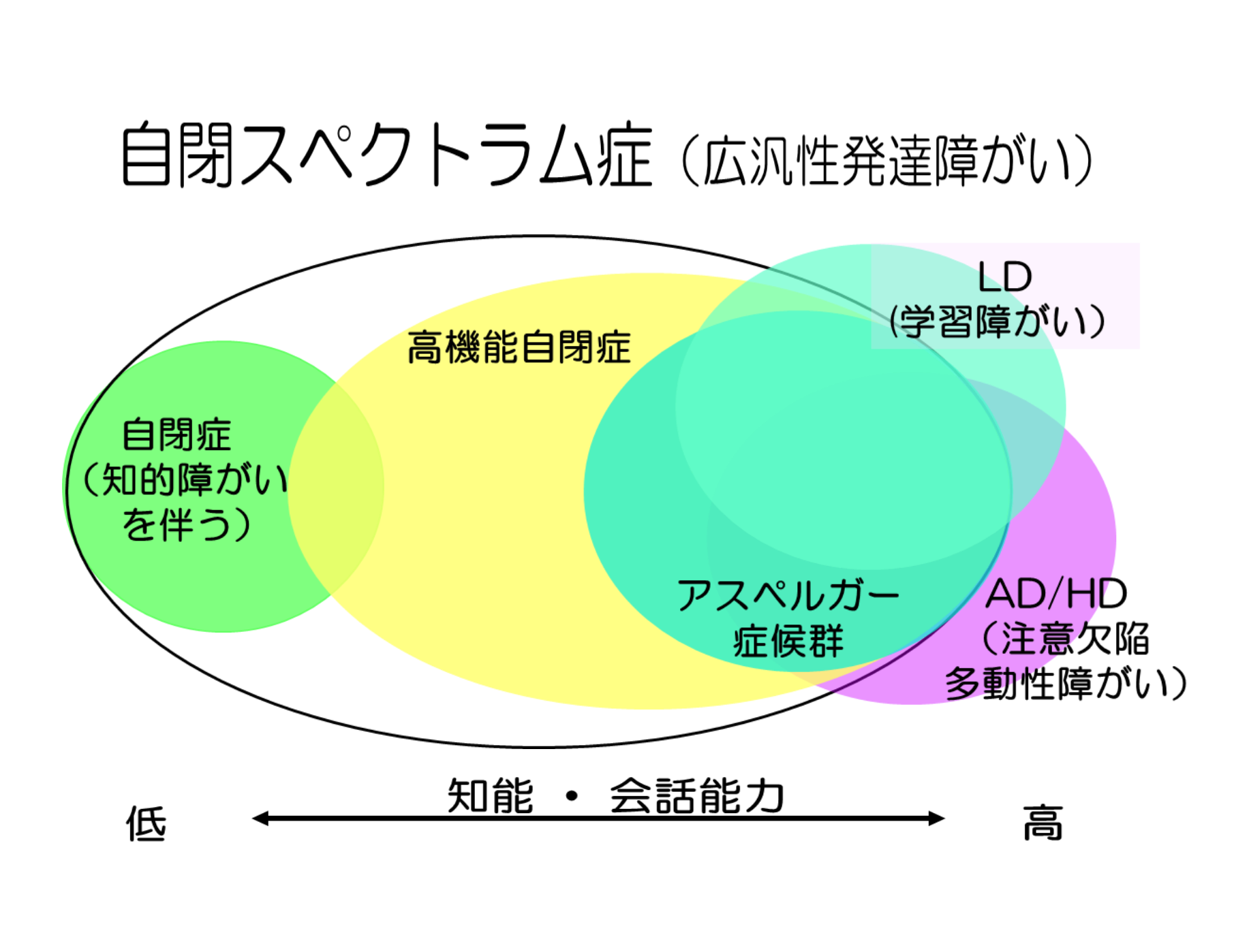 発達障害の色彩感覚に迫る！「天才の色使い」と視覚過敏の決定的な理由