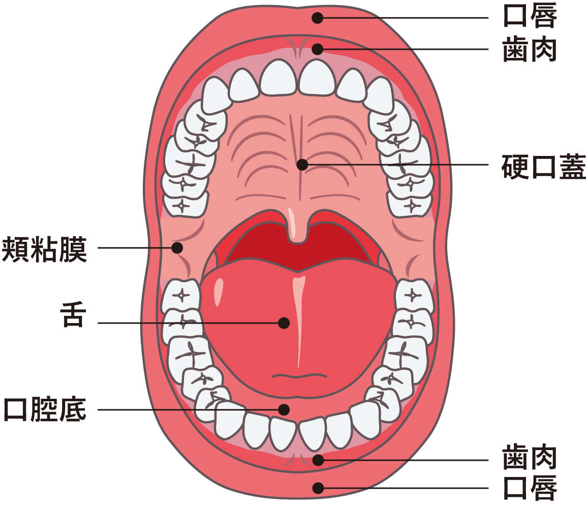 口の中の上が痛い治し方！激痛の原因と即効の応急処置・市販薬を徹底解説