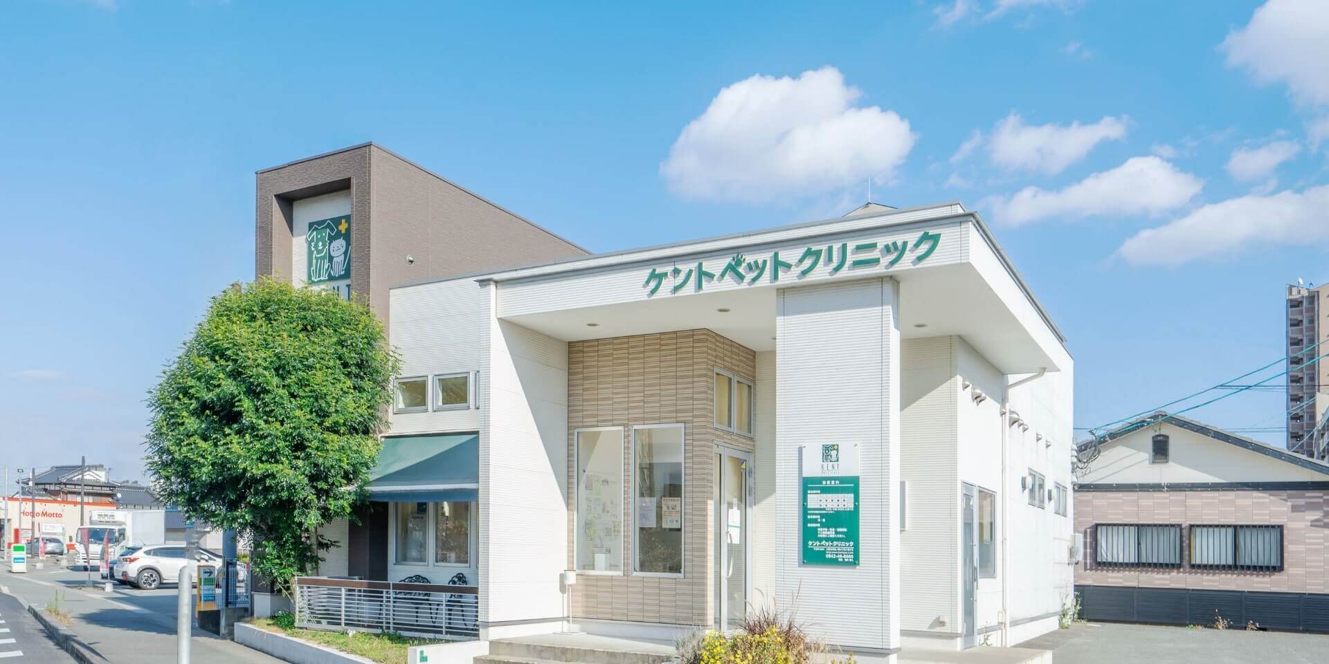 ケントペットクリニックの評判と実態｜診療料金や夜間対応の真実