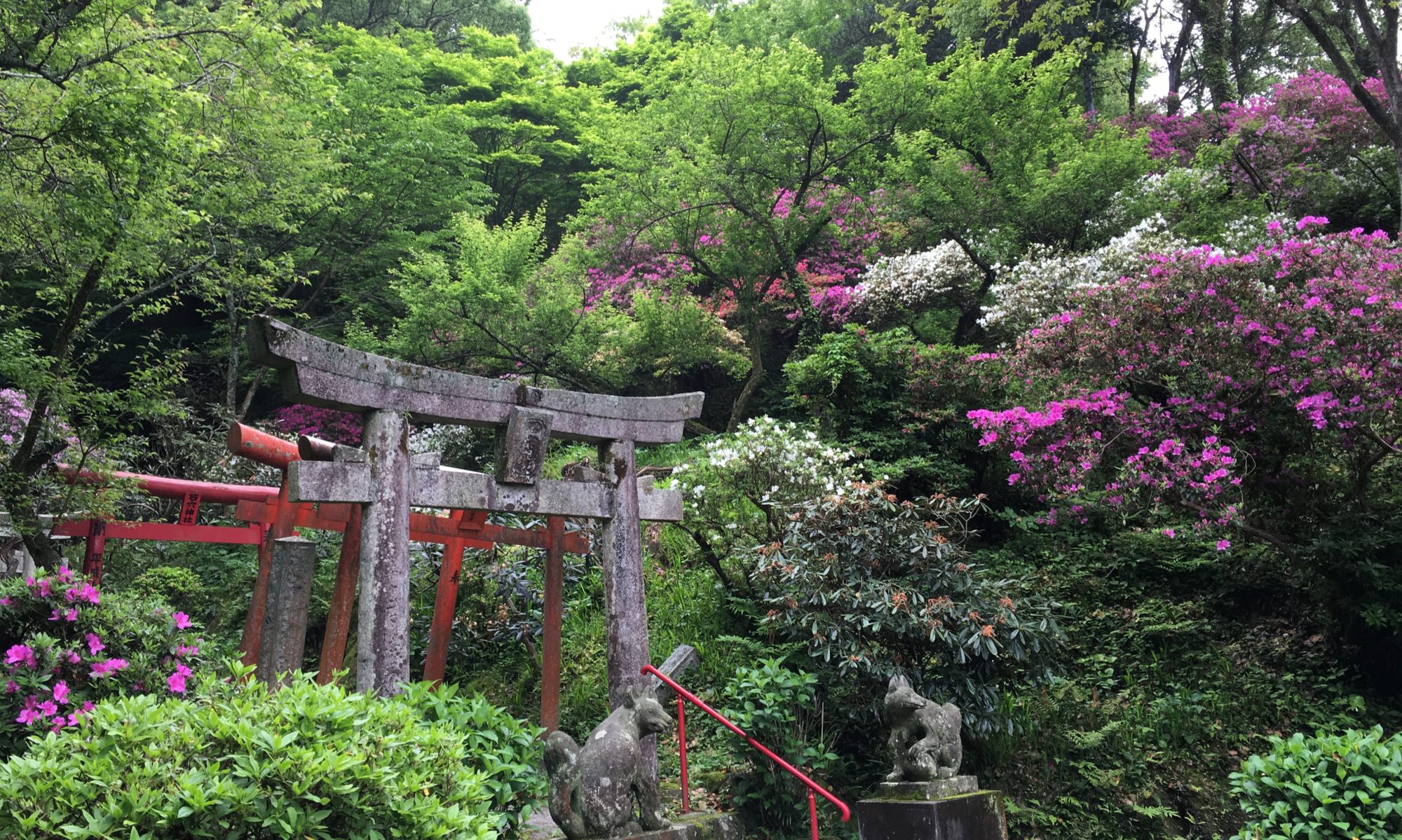 石穴稲荷神社はなぜ怖いほどご利益が？太宰府の巨石と奥の院の真相