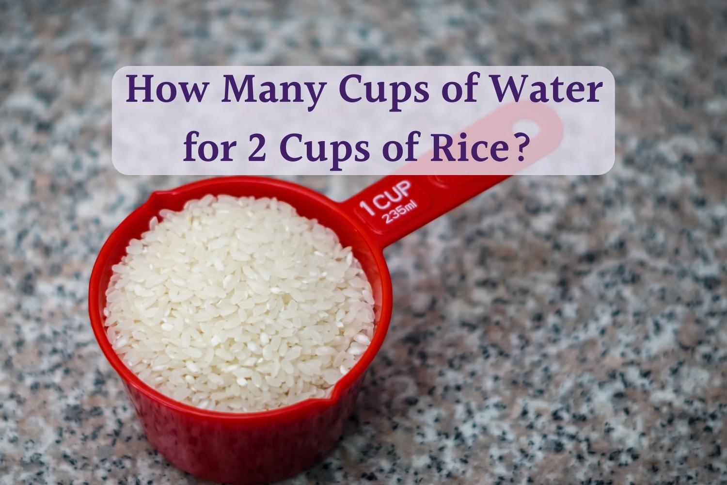 How Much Water for 2 1/2 Cups of Rice