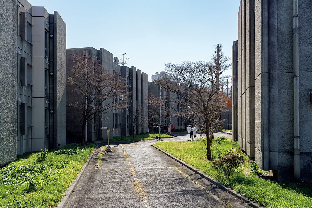 東大三鷹国際学生宿舎の評判は？倍率や家賃の真相とリアルな住み心地