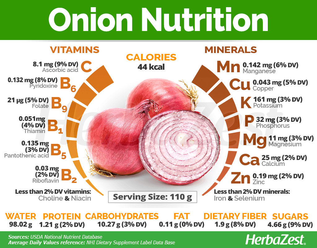 Fiber Content in Onions