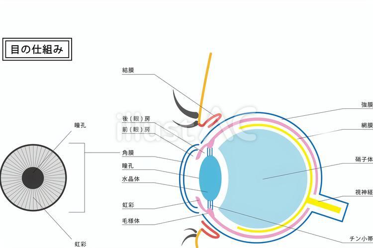 【最新】 目の下 の たるみ を 取る 方法 ためして ガッテン 私服＆私生活最新ショット #884