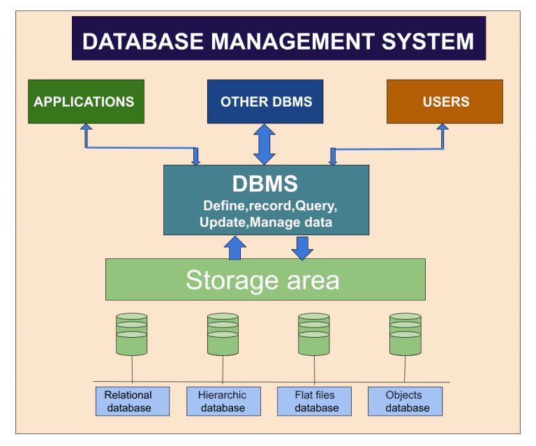 Define Database and Database Management System