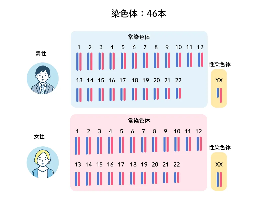 染色体が1本多い原因とは？ダウン症・トリソミーの真相と最新医療