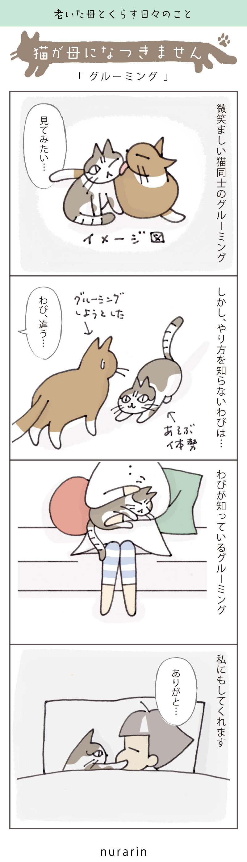 なぜ？毎日世話する母親に猫がなつかない決定的な理由と関係修復法