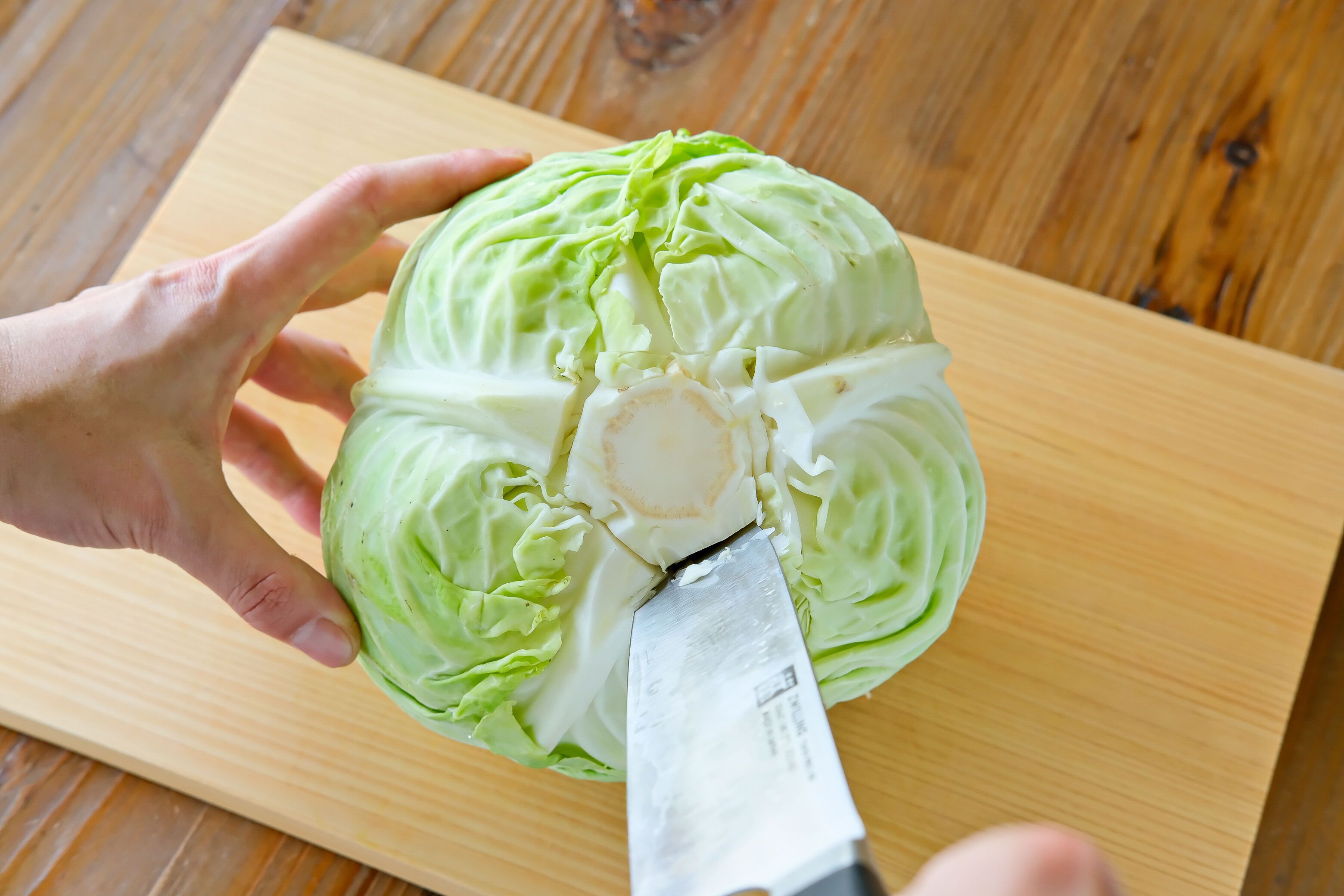 キャベツを1ヶ月長持ちさせる保存方法！芯の処理と冷蔵・冷凍の裏ワザ